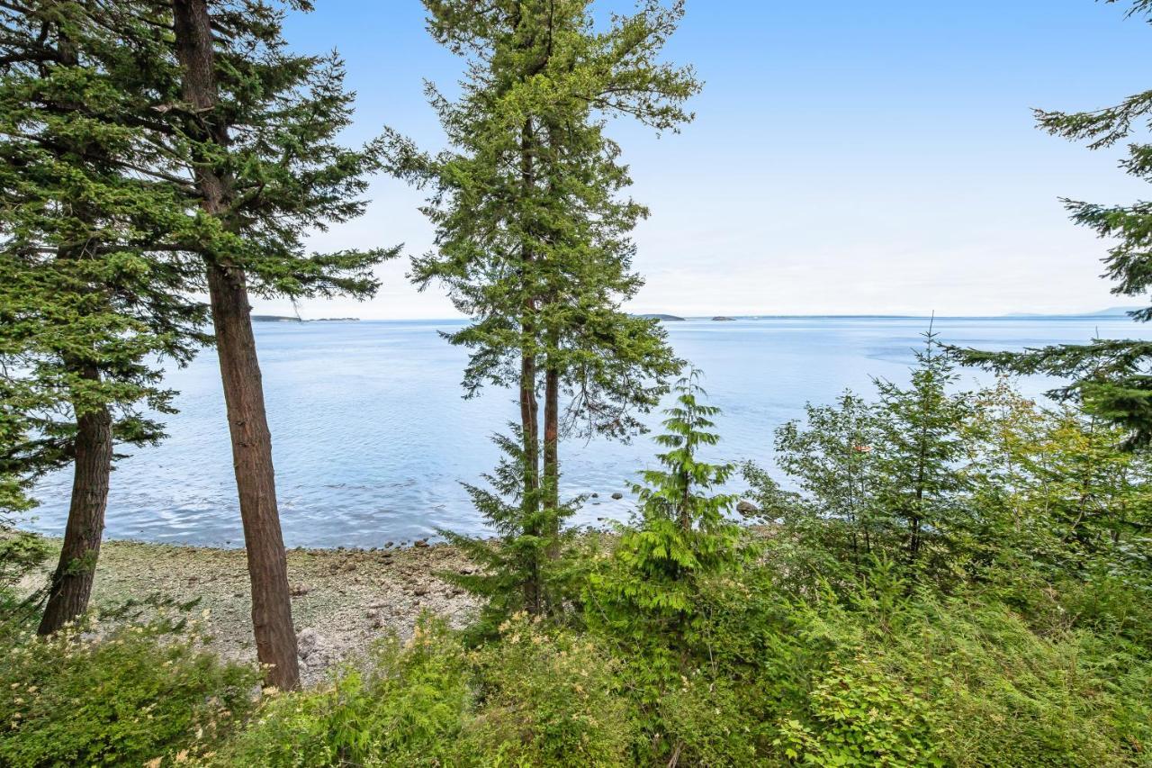Pinecone Cabin Eastsound Exterior foto